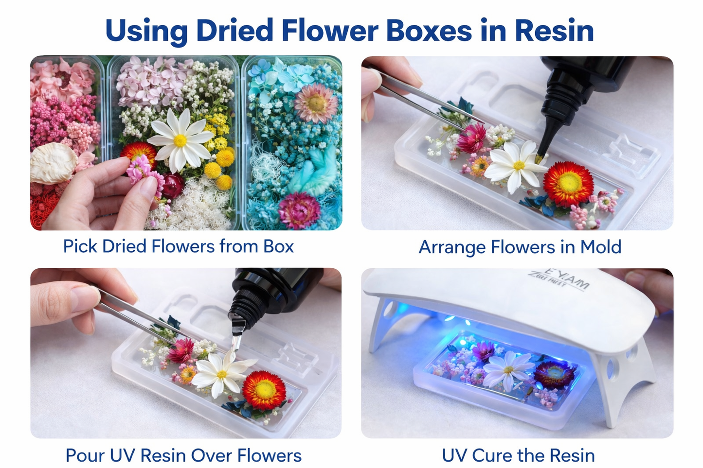 Natural Dry Flowers for Resin Art & Candle Making
